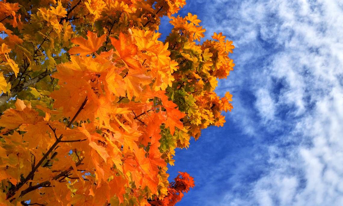 Kalendāriskas pārdomas