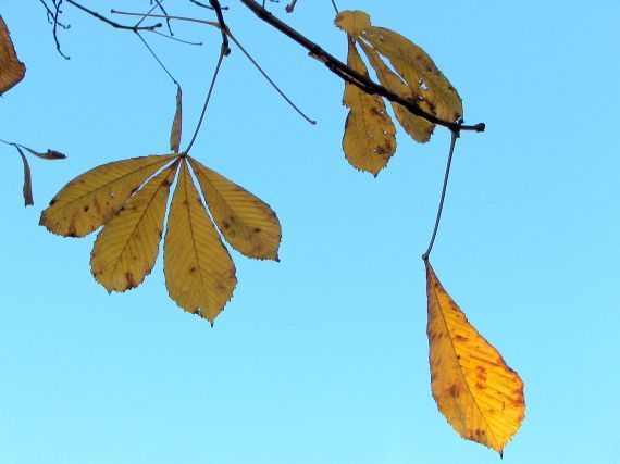 Gallery image 187411