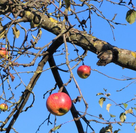 Gallery image 187412