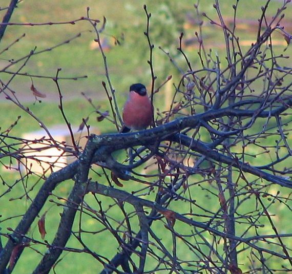 Gallery image 187413