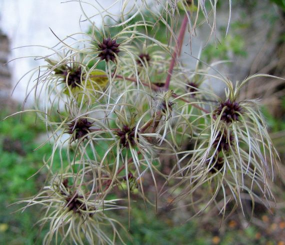 Gallery image 187415