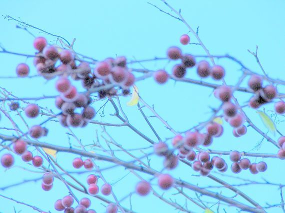 Gallery image 187416