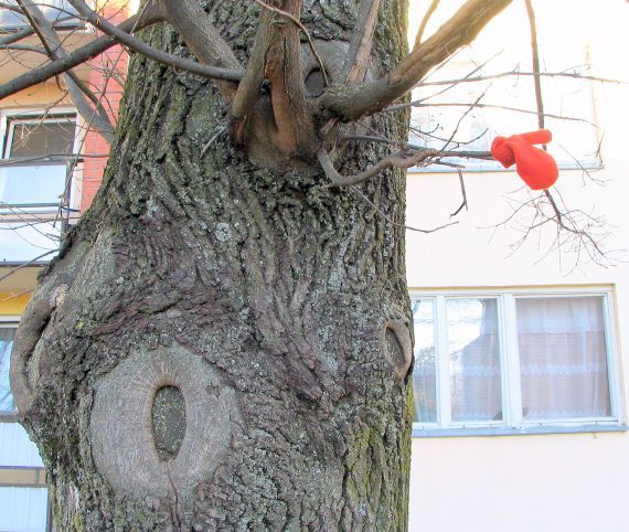 Gallery image 187414