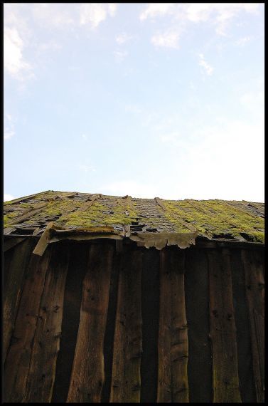 Gallery image 187402