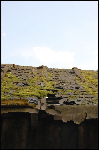 Gallery image 187404