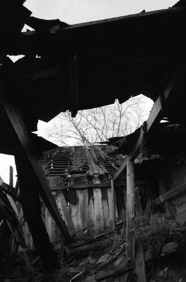 Gallery image 187405