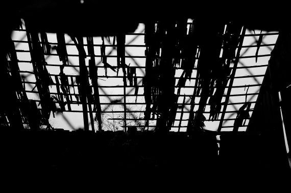 Gallery image 187407