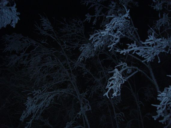 Gallery image 187248