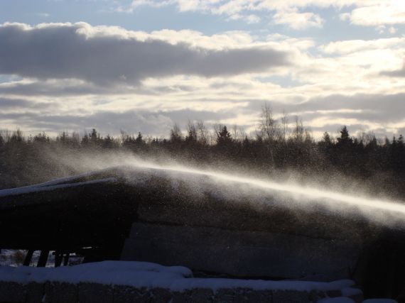 Gallery image 187249