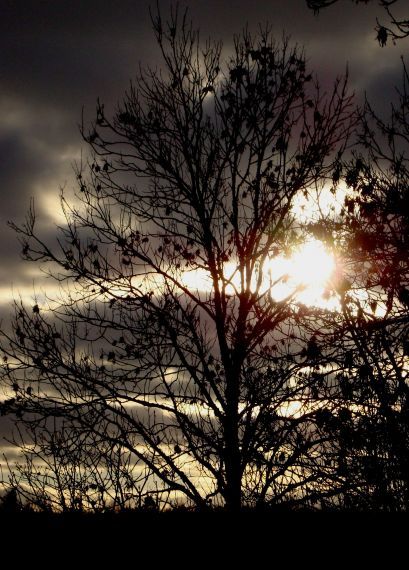 Gallery image 187250