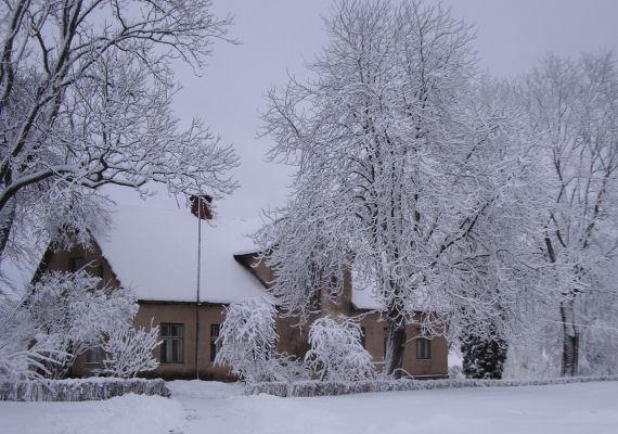 Gallery image 187252