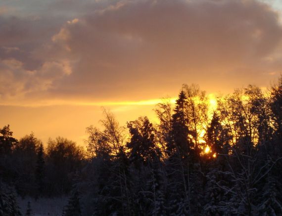 Gallery image 187253