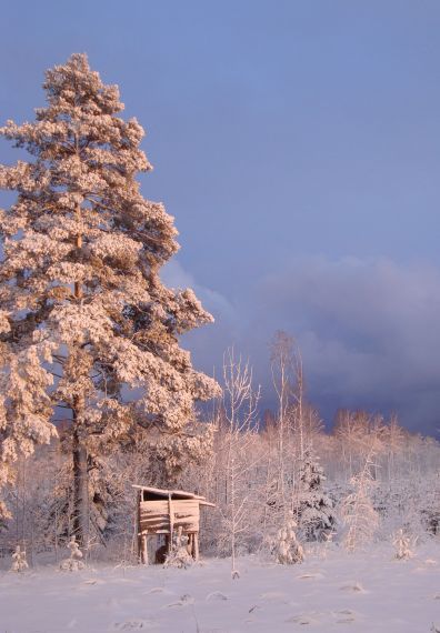 Gallery image 187251