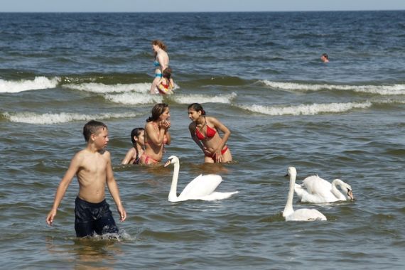 Gallery image 186792