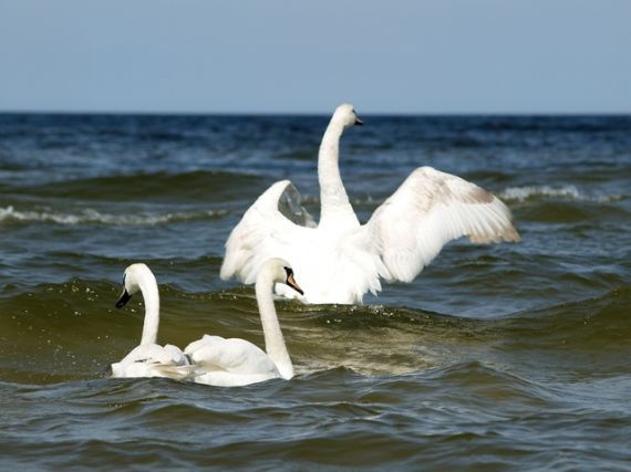 Gallery image 186793