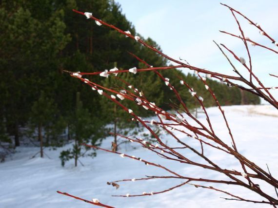 Gallery image 185068