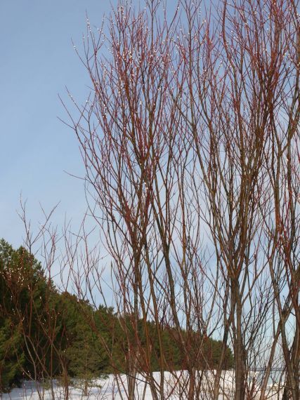 Gallery image 185069