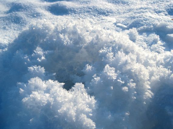 Gallery image 184915