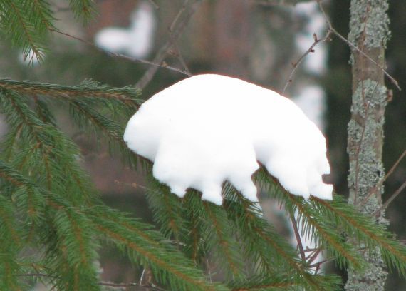 Gallery image 184916