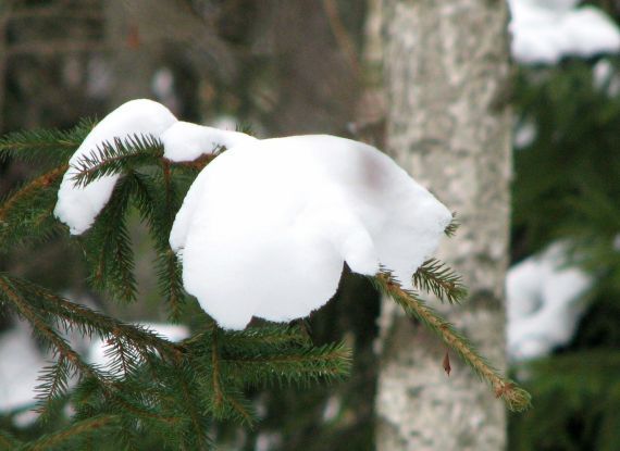 Gallery image 184917