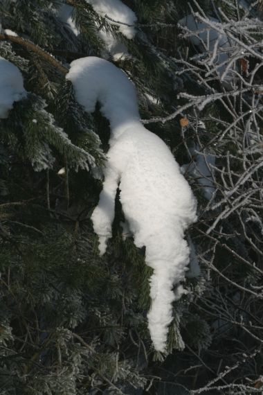 Gallery image 184920