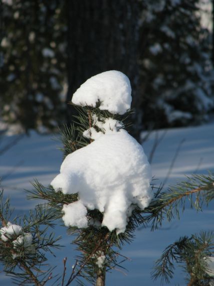 Gallery image 184918