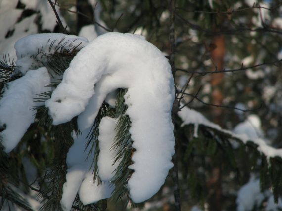 Gallery image 184919