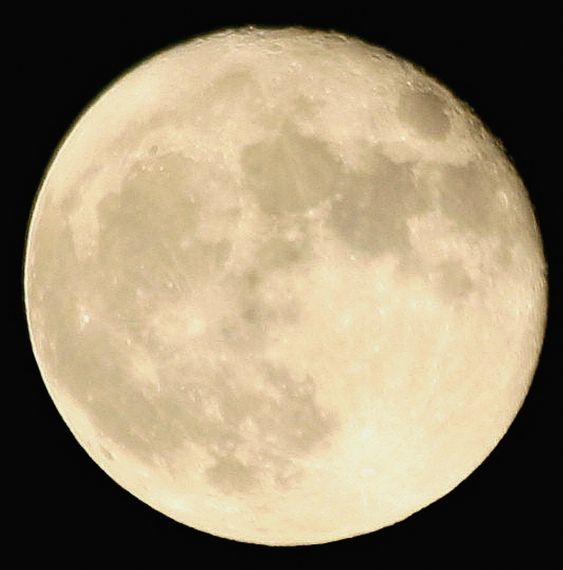 Gallery image 184813