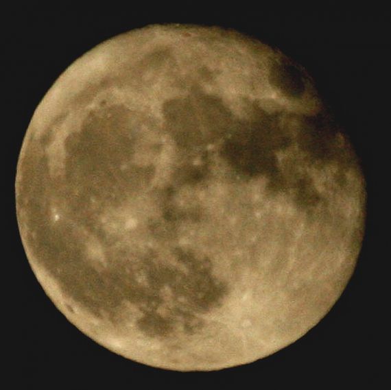 Gallery image 184811