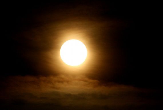 Gallery image 184812