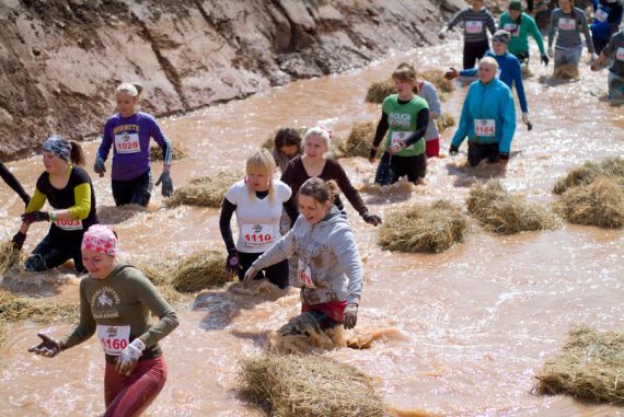 Gallery image 184480