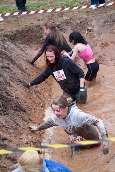 Gallery image 184482