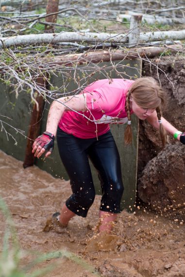 Gallery image 184483