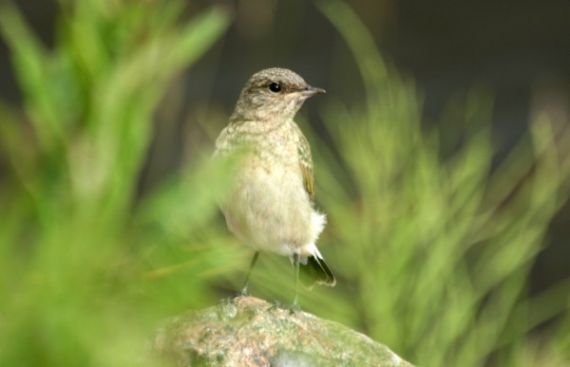 Gallery image 184132