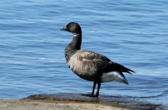 Gallery image 184131