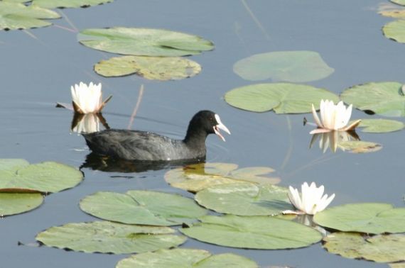 Gallery image 184130