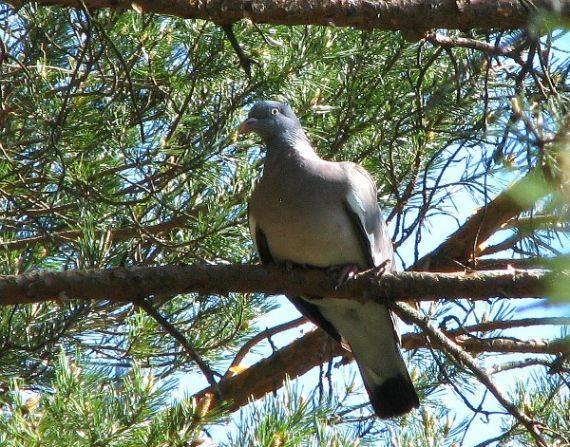 Gallery image 184134