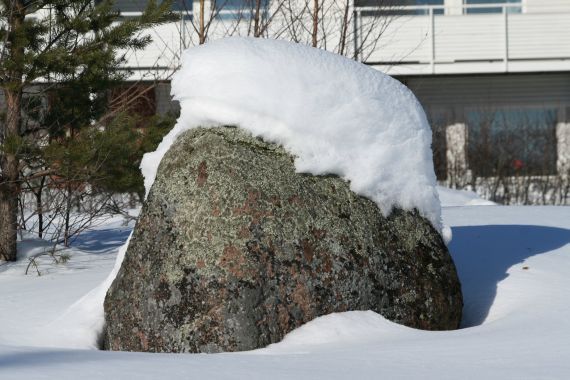 Gallery image 183863