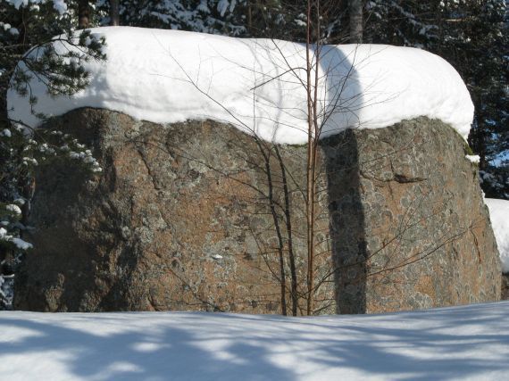 Gallery image 183862