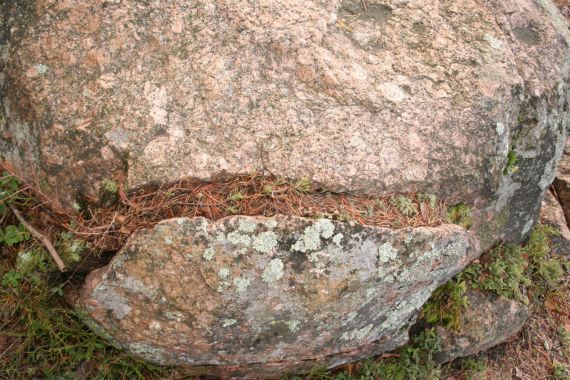 Gallery image 183867