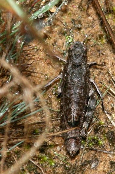 Gallery image 183705