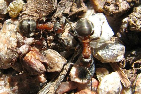 Gallery image 183706