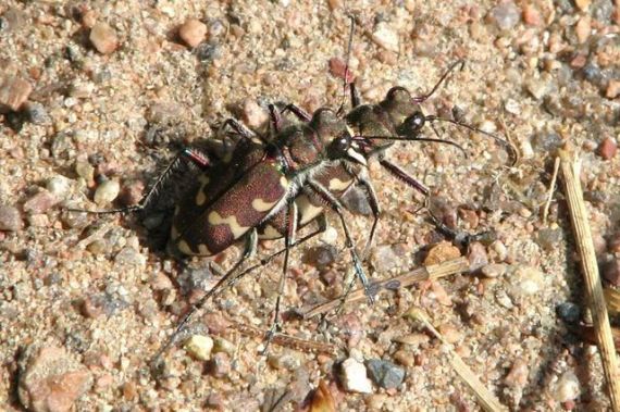 Gallery image 183708