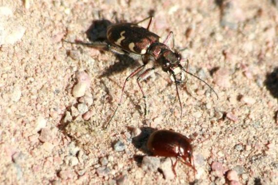 Gallery image 183707