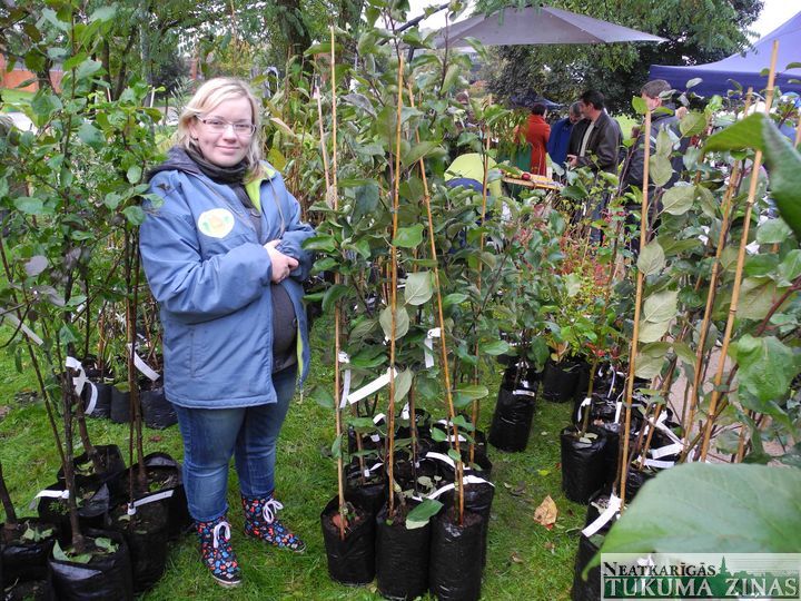 Gallery image 180780