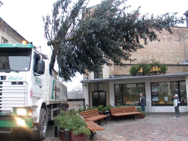 Kultūras namam atvesta lielā egle