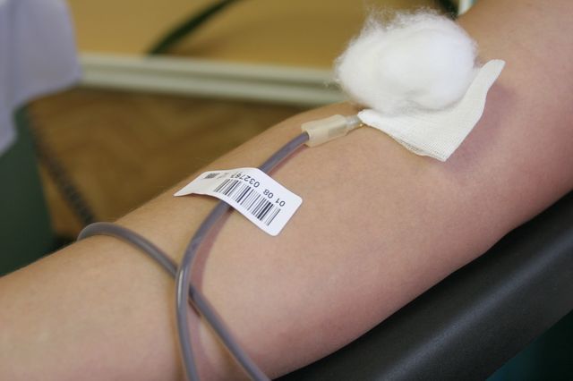 Gallery image 187358