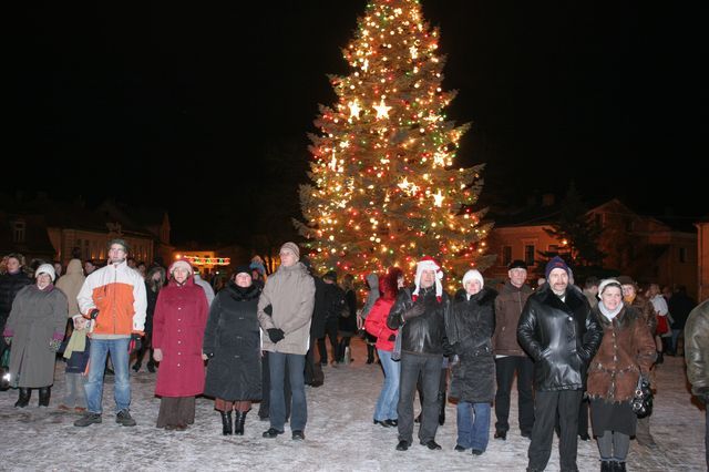 Gallery image 187281