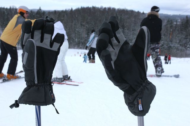 Gallery image 256594