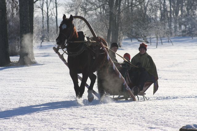 Gallery image 187226